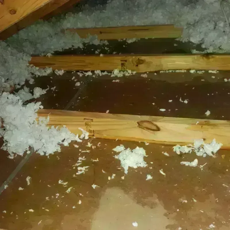 Attic Water Damage in Sullivans Island, SC